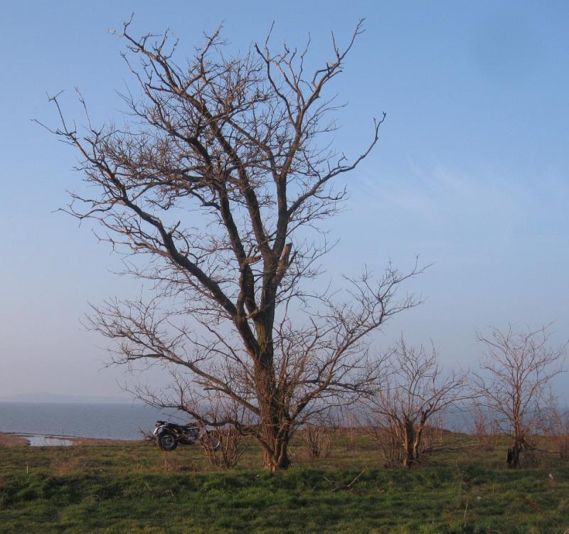 ������������� �����������