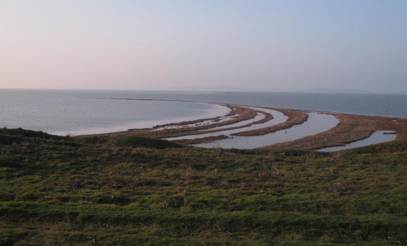 ������������� �����������