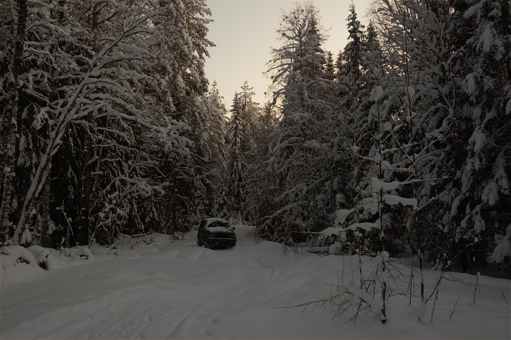 ������������� �����������