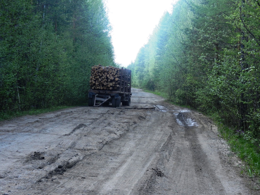 ������������� �����������