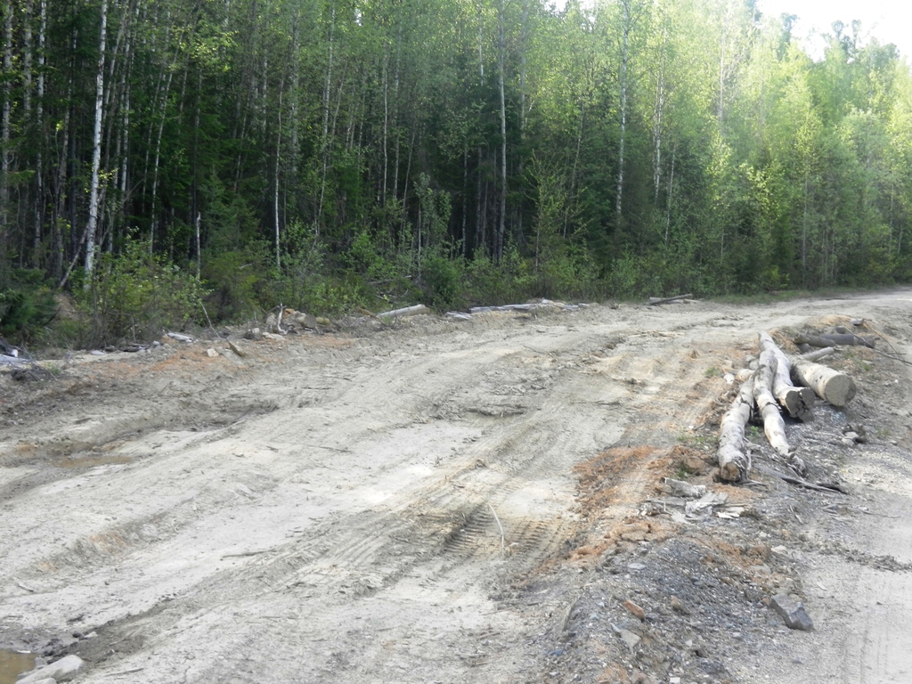 ������������� �����������