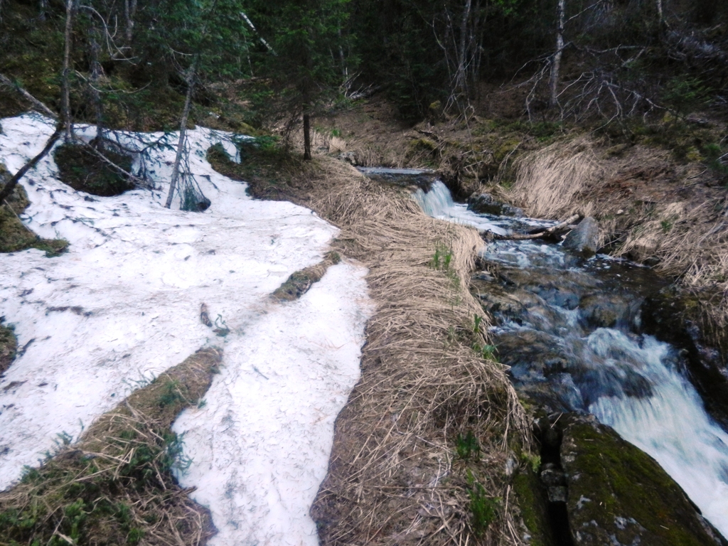 ������������� �����������