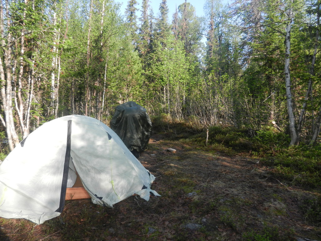 ������������� �����������