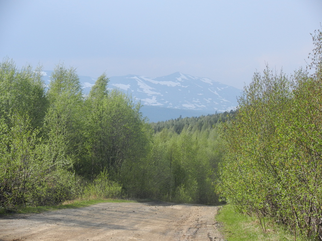 ������������� �����������