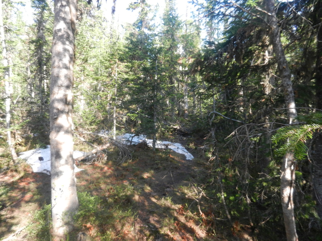 ������������� �����������