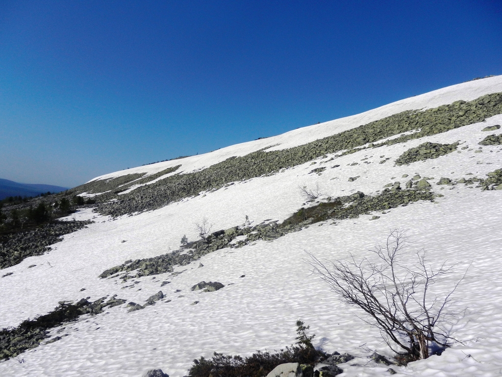 ������������� �����������