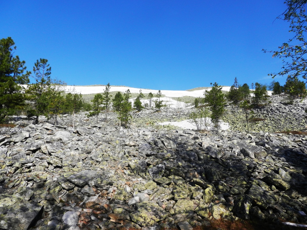 ������������� �����������