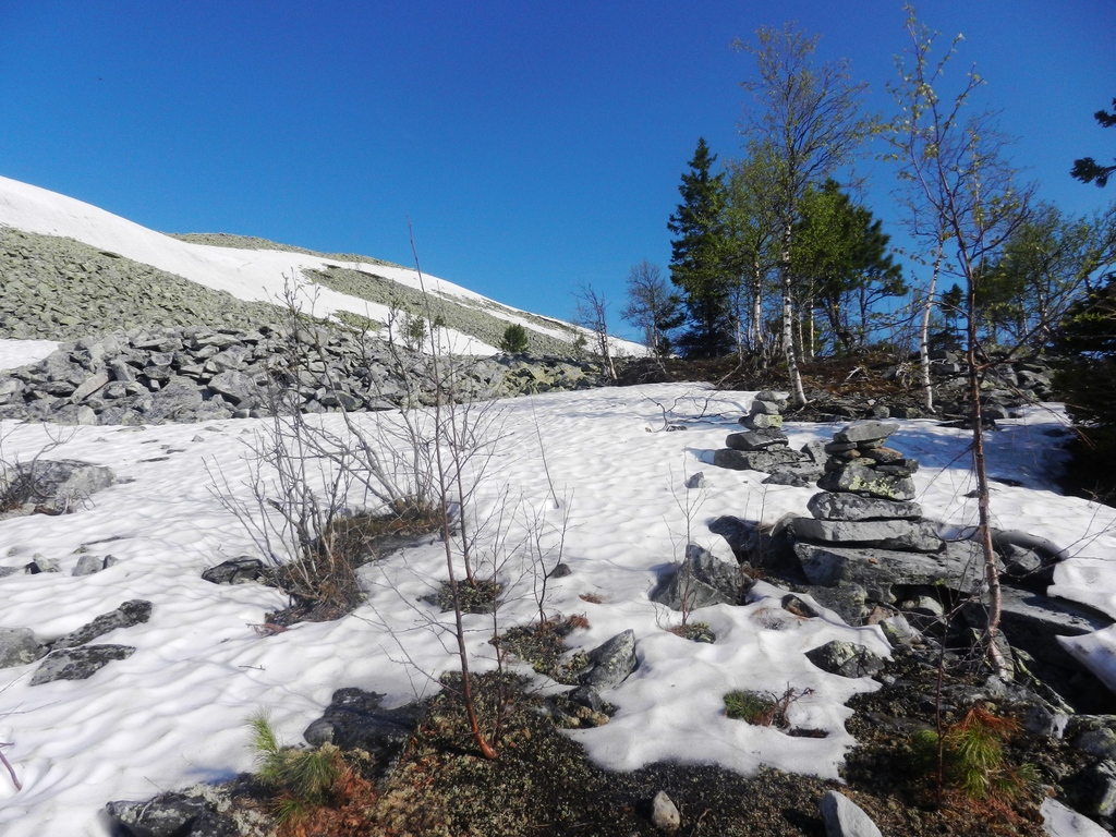 ������������� �����������