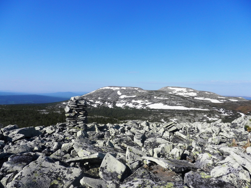 ������������� �����������