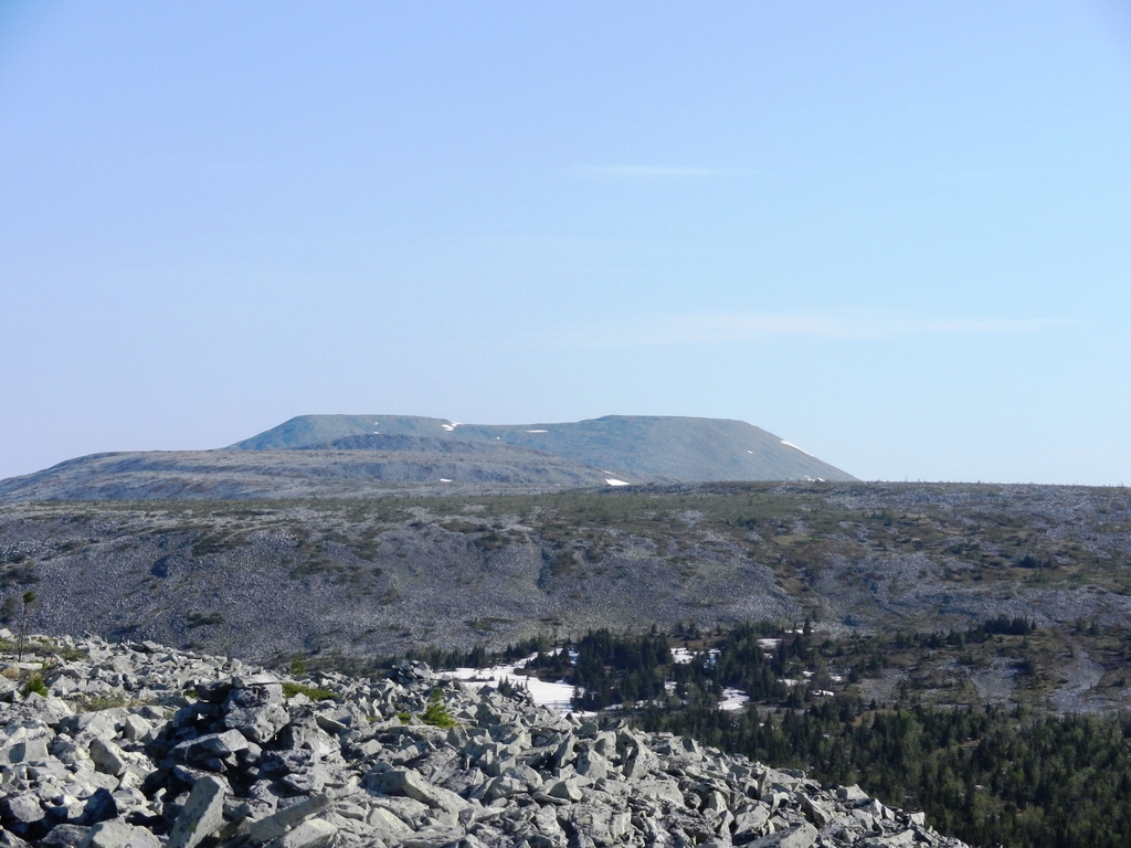 ������������� �����������