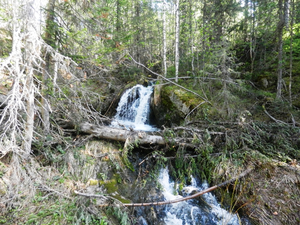 ������������� �����������