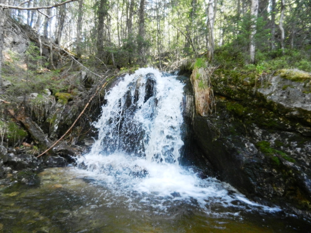 ������������� �����������