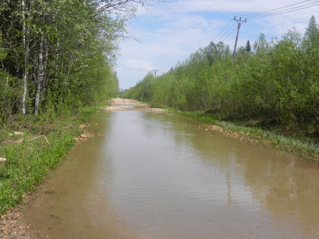 ������������� �����������