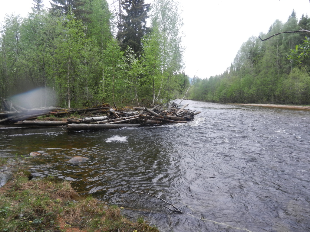 ������������� �����������