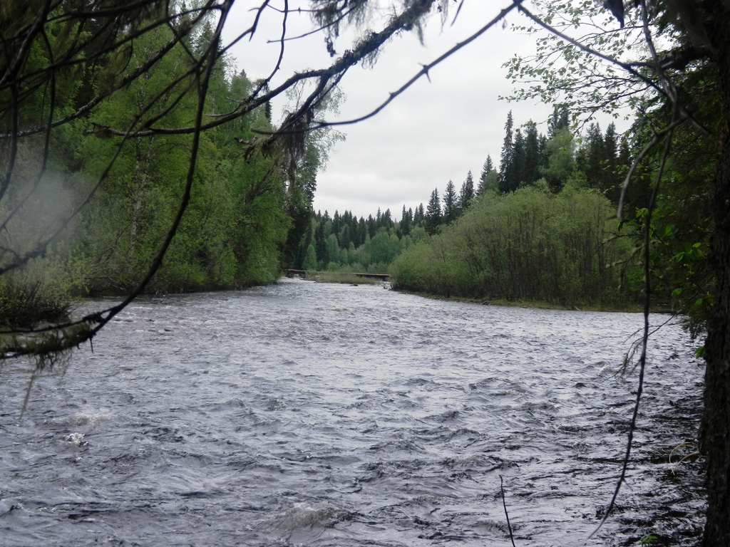 ������������� �����������