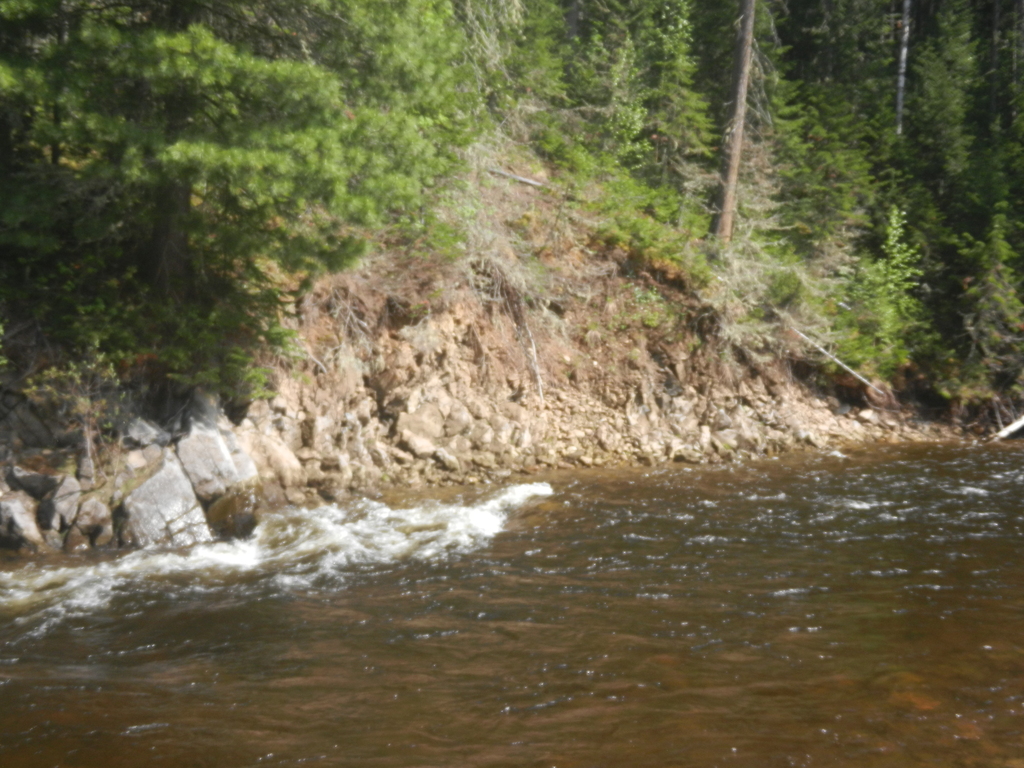 ������������� �����������