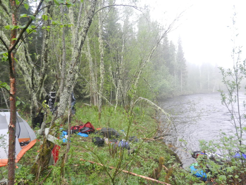 ������������� �����������