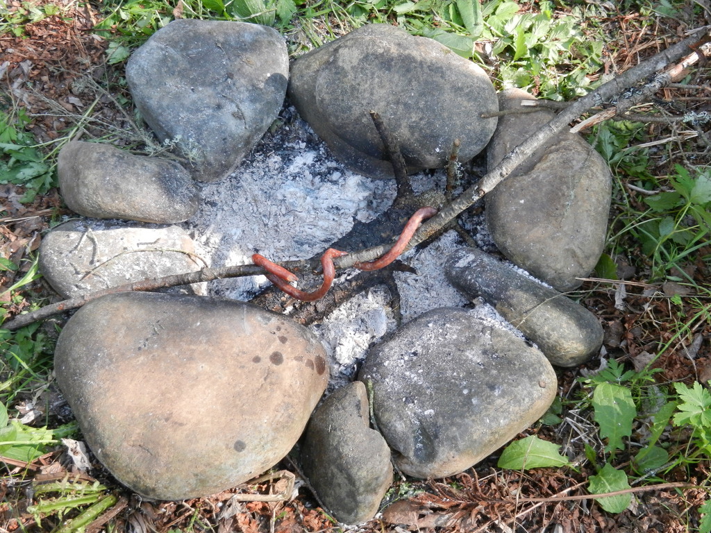 ������������� �����������