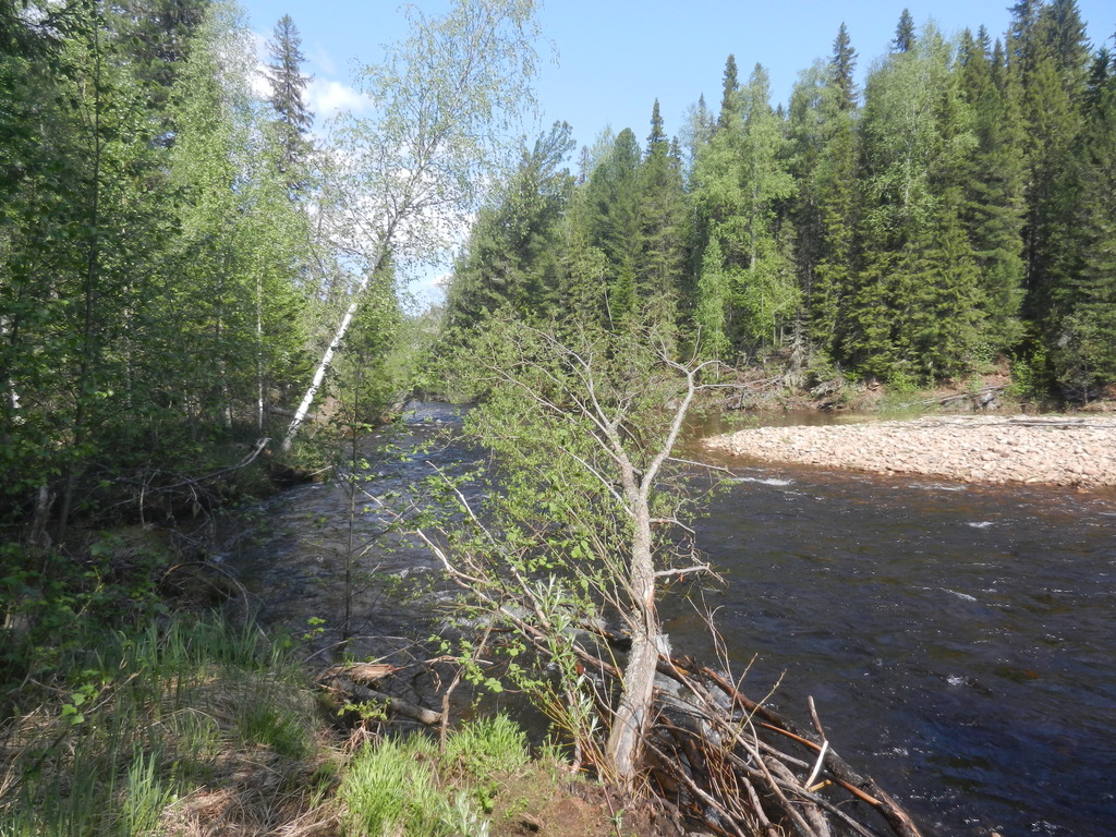 ������������� �����������