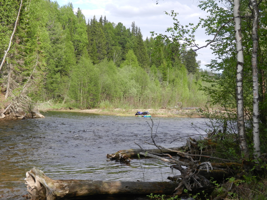 ������������� �����������