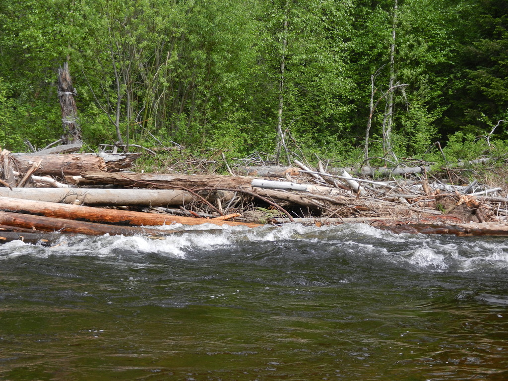 ������������� �����������