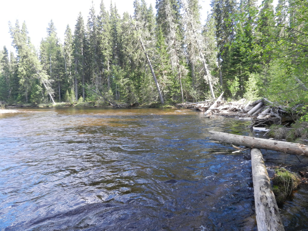 ������������� �����������