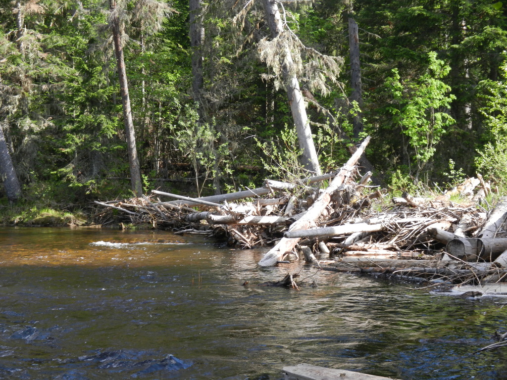 ������������� �����������