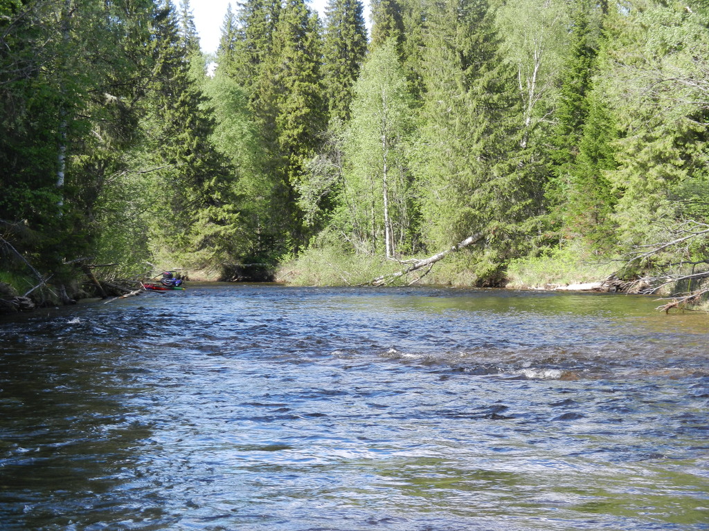 ������������� �����������