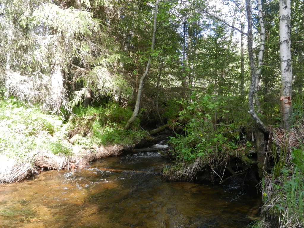 ������������� �����������