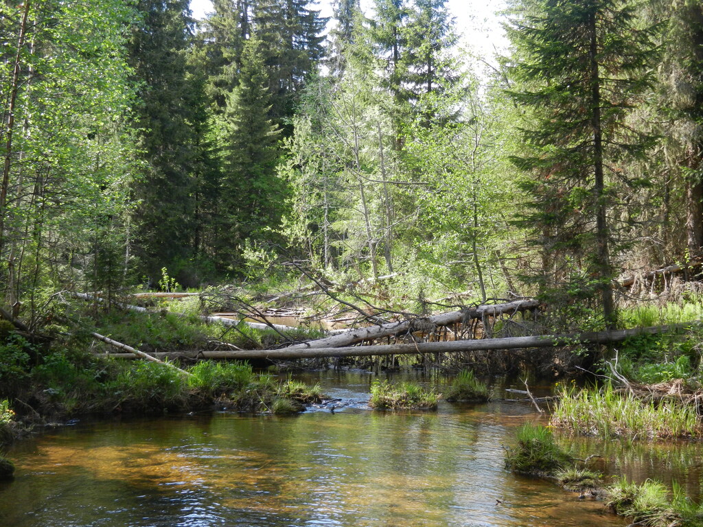 ������������� �����������