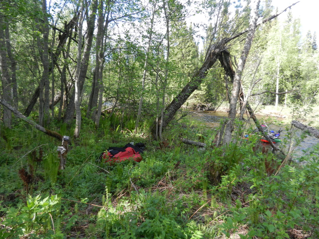 ������������� �����������