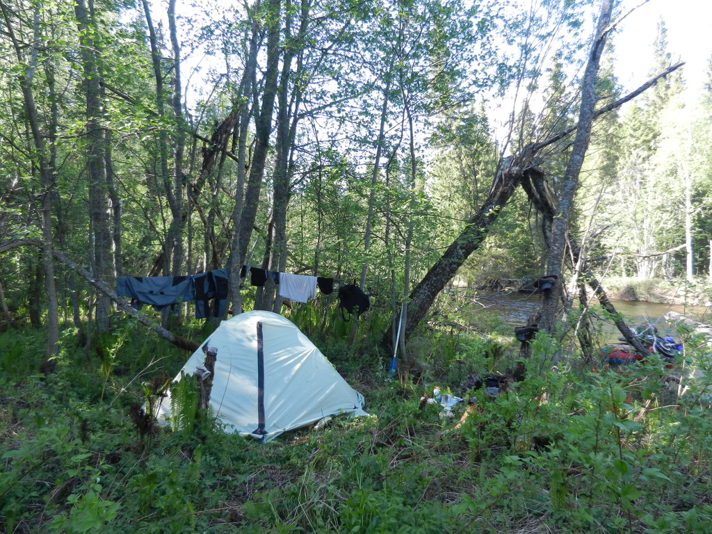 ������������� �����������