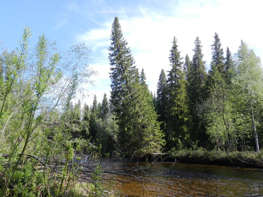 ������������� �����������