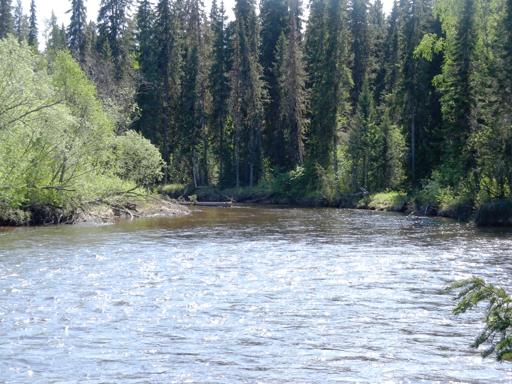 ������������� �����������