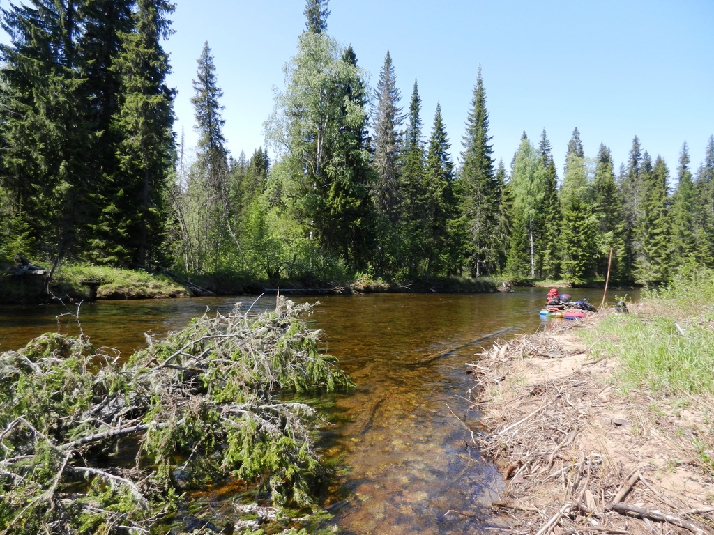 ������������� �����������