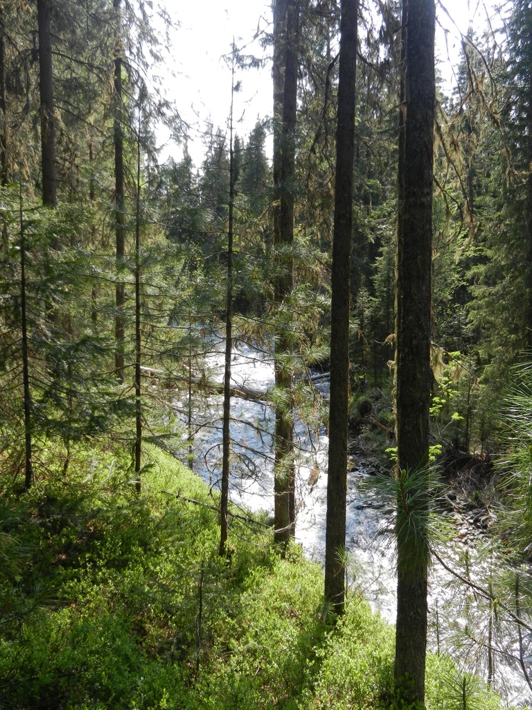 ������������� �����������