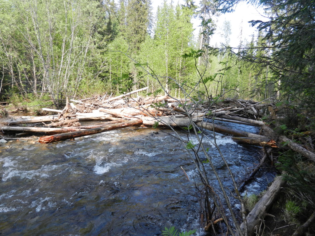 ������������� �����������