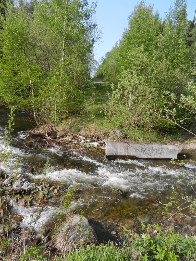 ������������� �����������