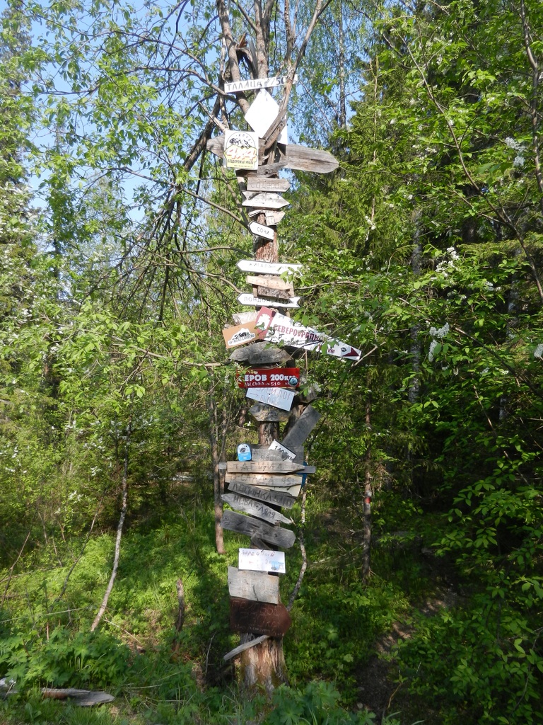 ������������� �����������