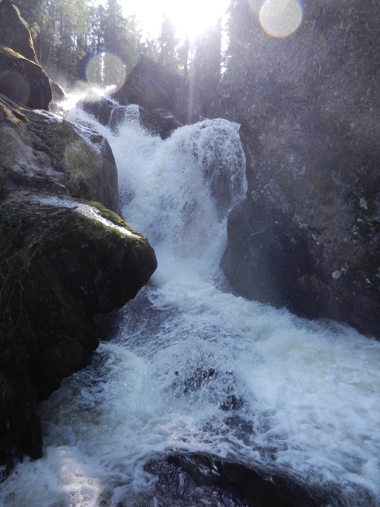 ������������� �����������