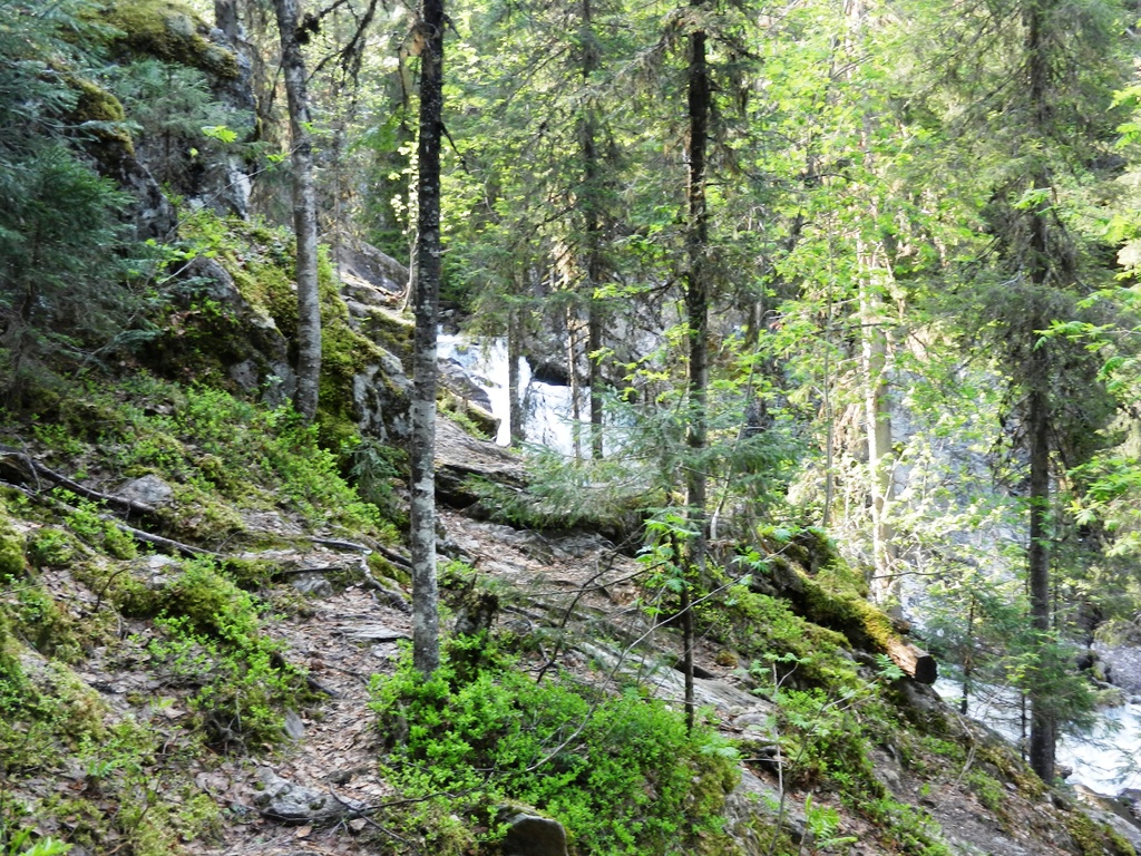 ������������� �����������