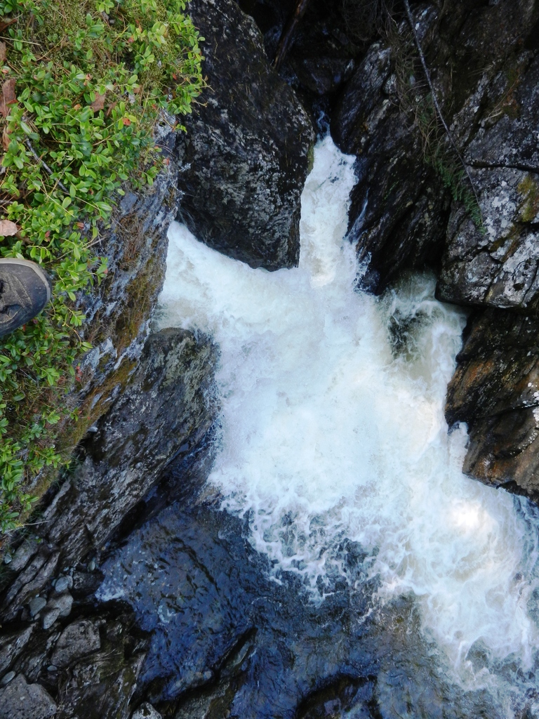 ������������� �����������