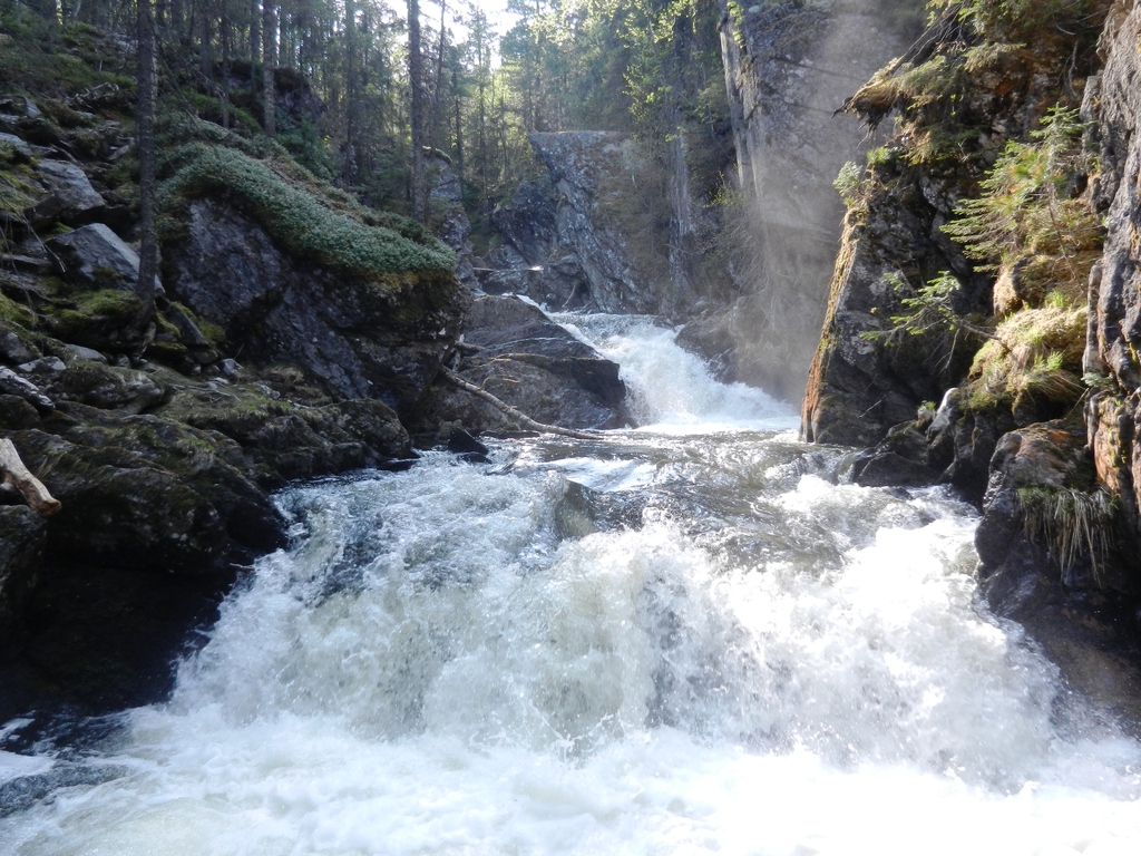 ������������� �����������