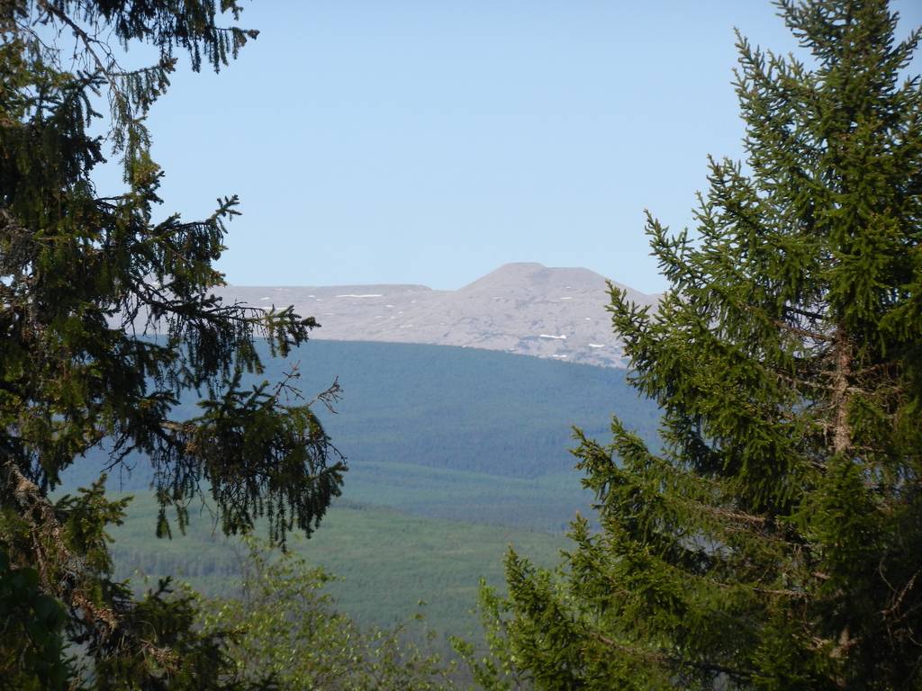 ������������� �����������