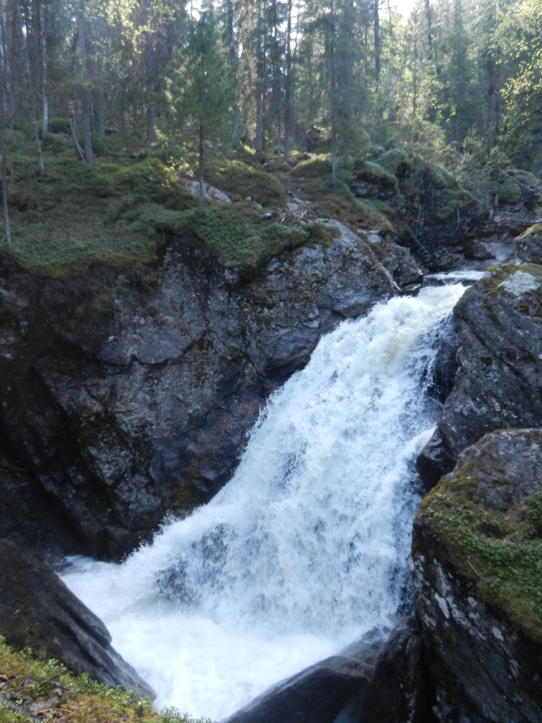 ������������� �����������