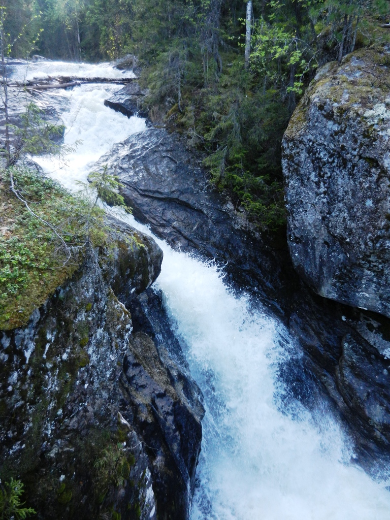 ������������� �����������