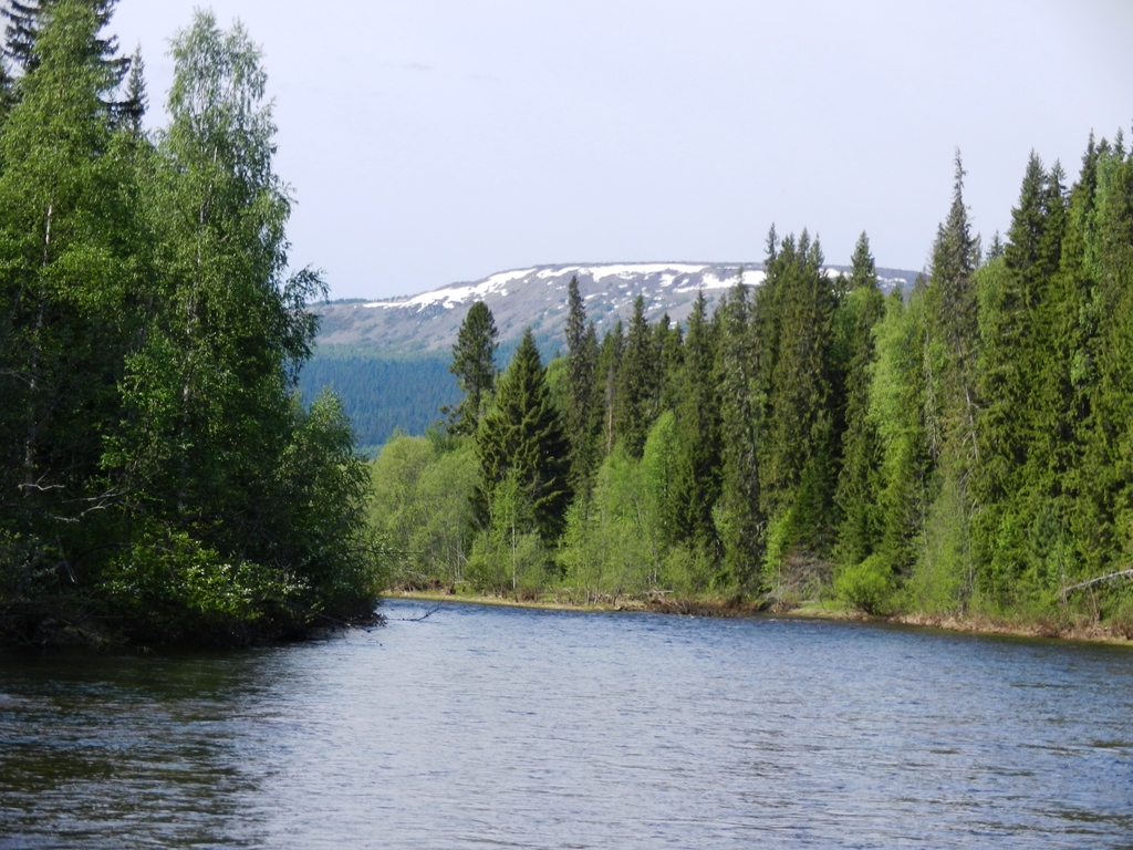 ������������� �����������