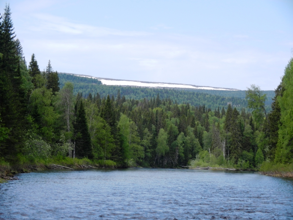 ������������� �����������