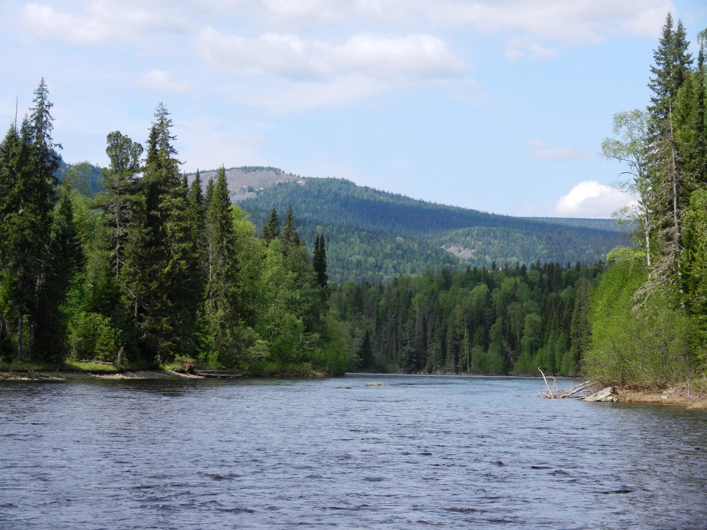 ������������� �����������