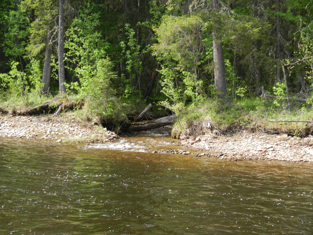 ������������� �����������